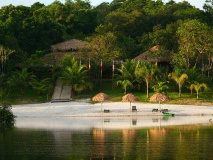 Lodge dans la forêt tropicale