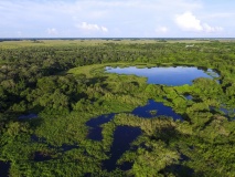 Vue aérienne du Pantanal
