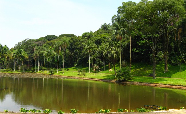 Jardins botaniques Sao Paulo