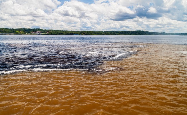 confluent du Rio Negro et Rio Solimões