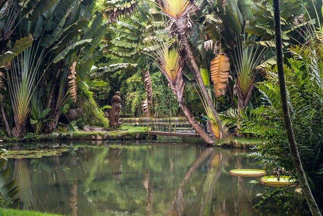 Jardin botanique de Rio de Janeiro