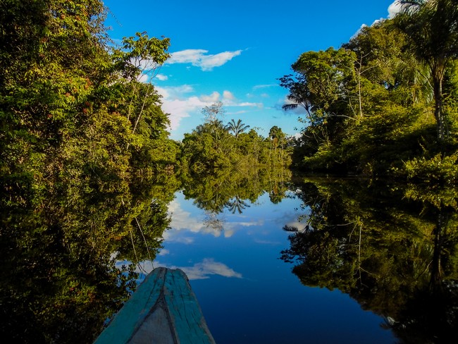 Rivière Amazone