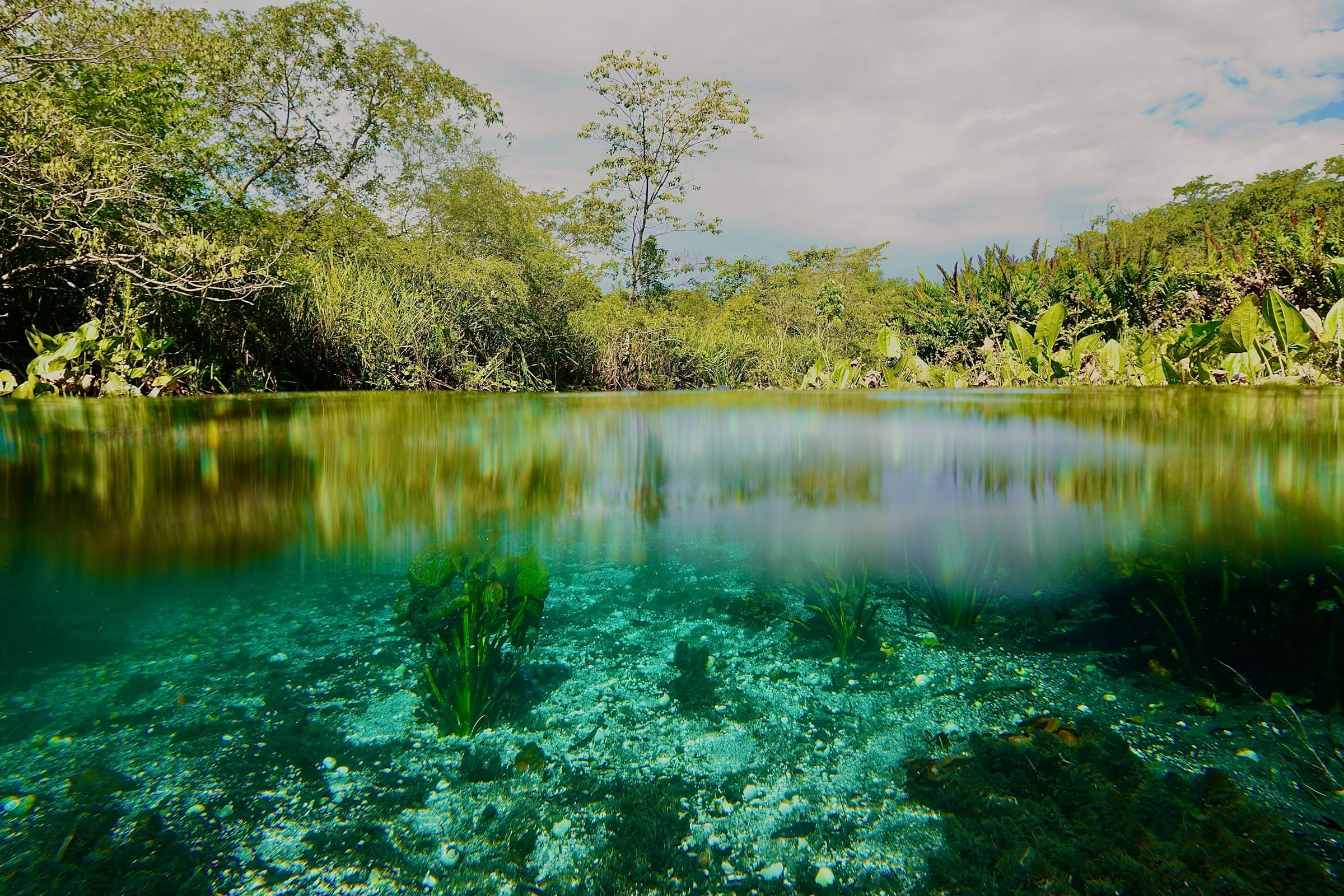 Rivière Sucuri, rio Sucuri, Bonito