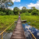 Pont traversant les marécages du Pantanal au Brésil