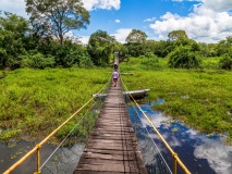 Safari au Pantanal