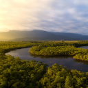 Vue sur l'Amazonie brésilienne