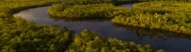 Vue sur l'Amazonie brésilienne