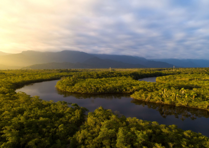 Vue sur l'Amazonie brésilienne