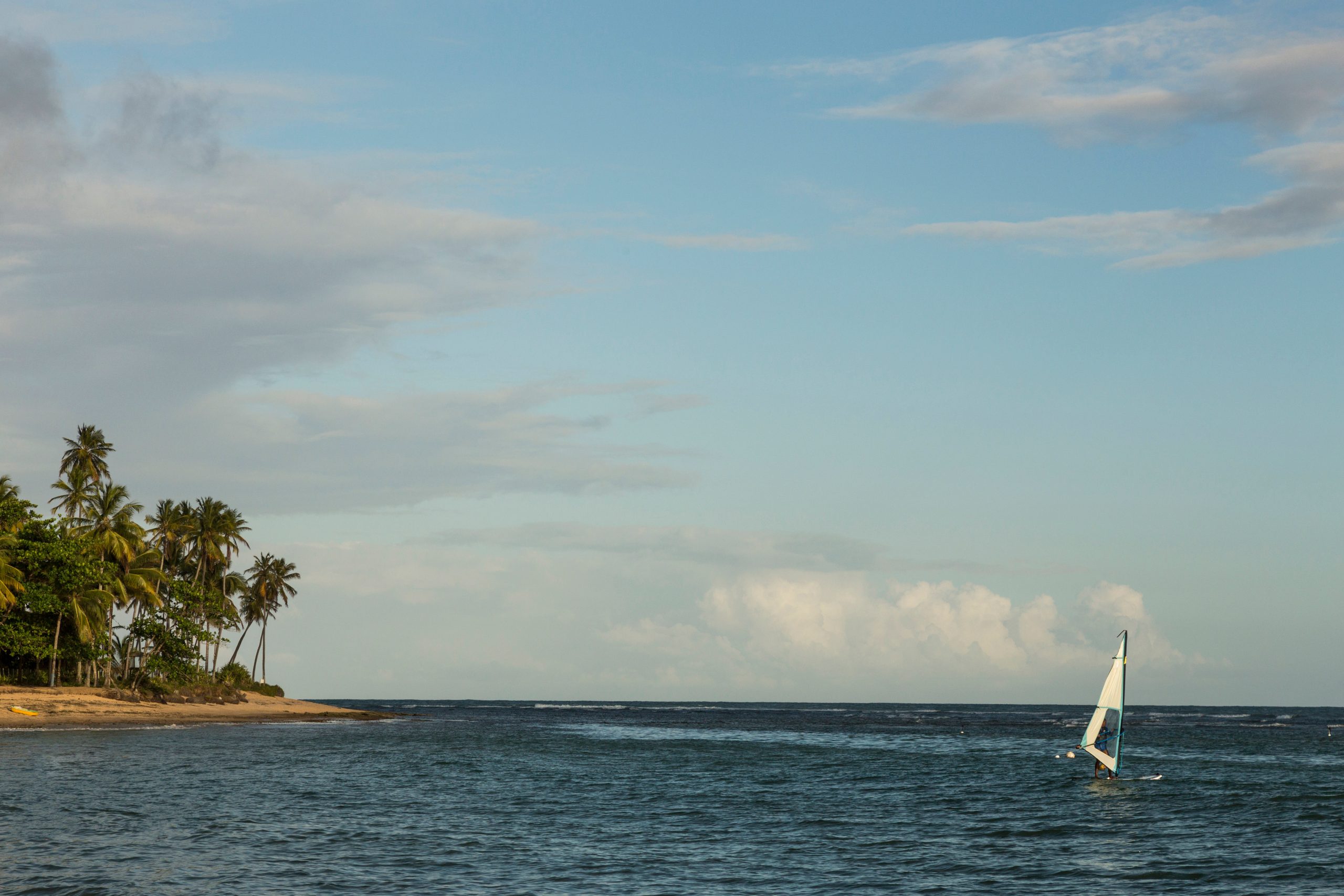 Windsurfing, lanche à voile, Praia do forte, Bahia