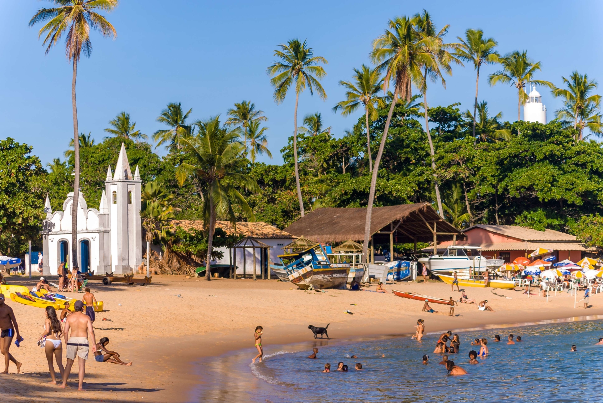 Plage de Praia do Forte au Brésil