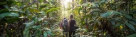 Trekkeurs évoluant dans la forêt amazonienne au Brésil