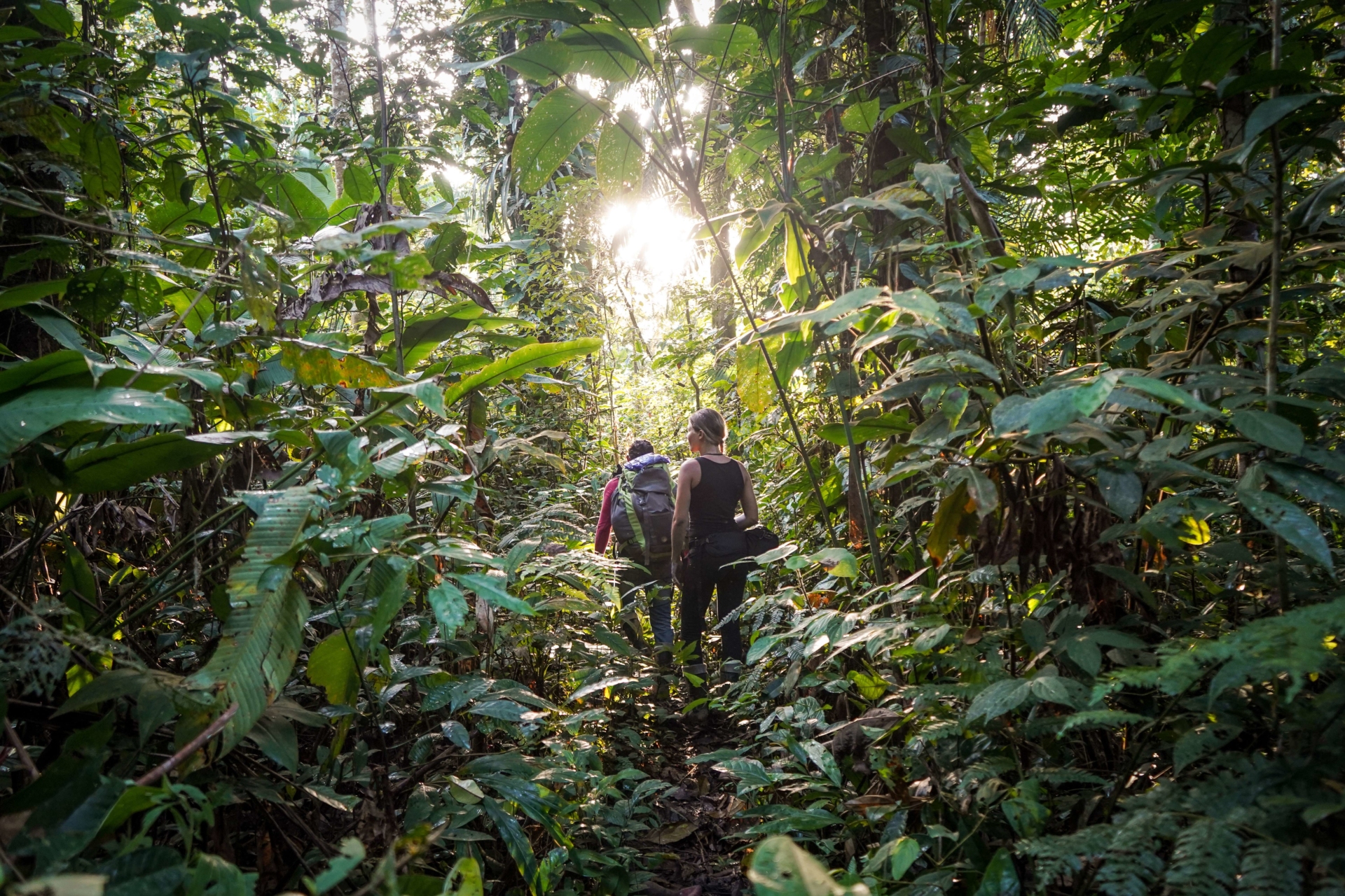 Trek en Amazonie