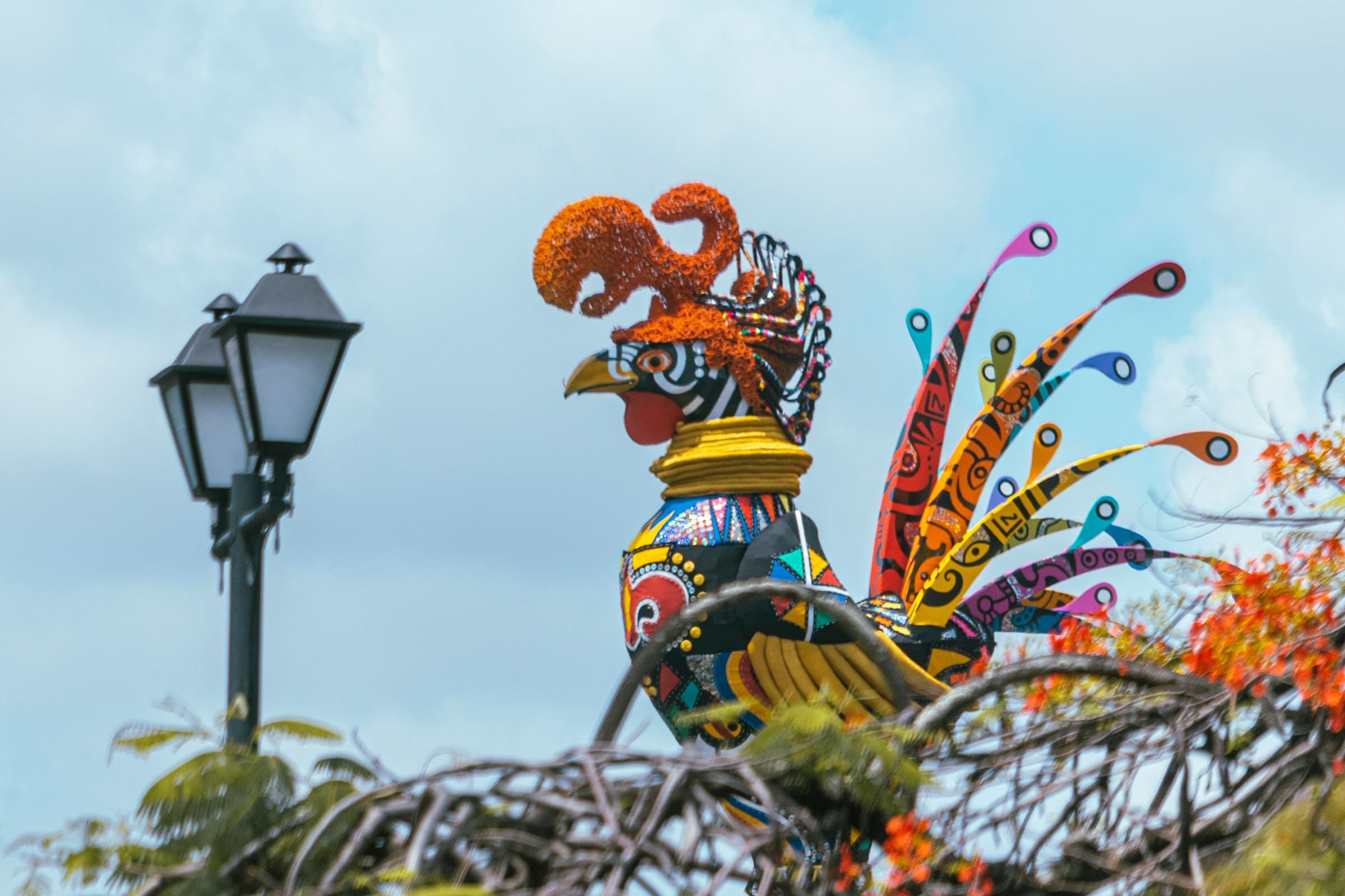 Coq coloré à Recife