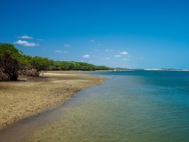 Mangrove de Galinhos