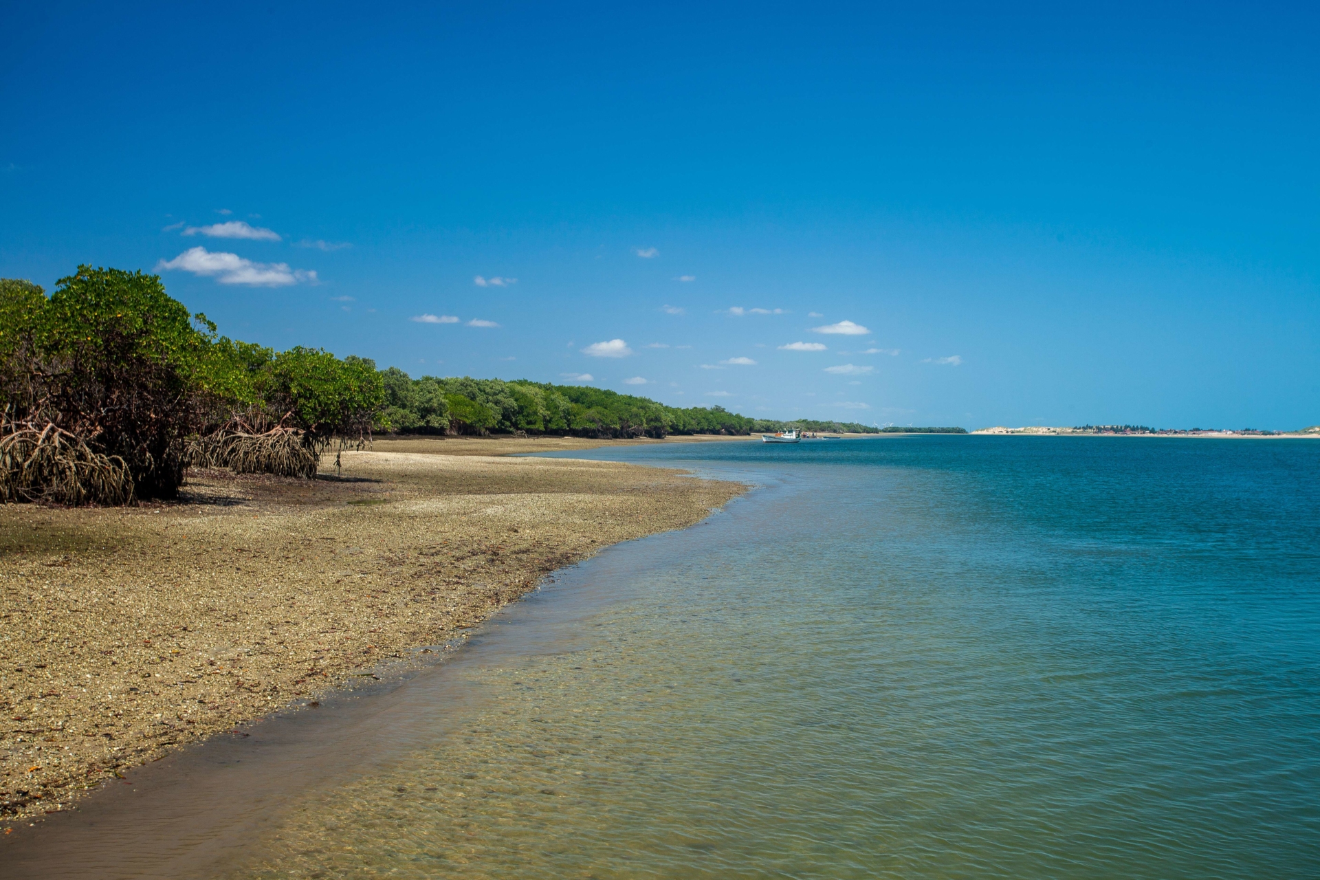 Mangrove et plage de Galinhos au Brésil
