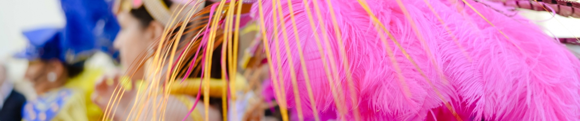 Danseuses de Samba du Carnaval