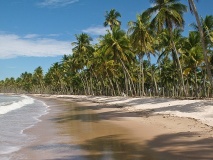 Plage bahianaise