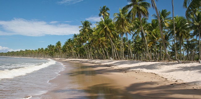Plage bahianaise
