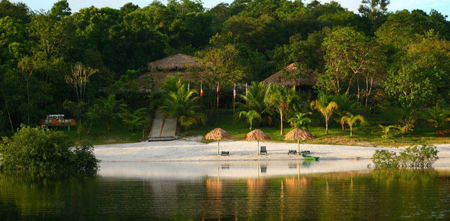 Lodge dans la forêt tropicale