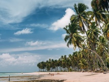 Plage de cocotiers - Bahia - Brésil