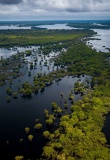 Vue aérienne de l'Amazonie brésilienne