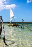 Lagune de Jericoacoara au Brésil