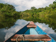 Voyage Amazonie Bresil