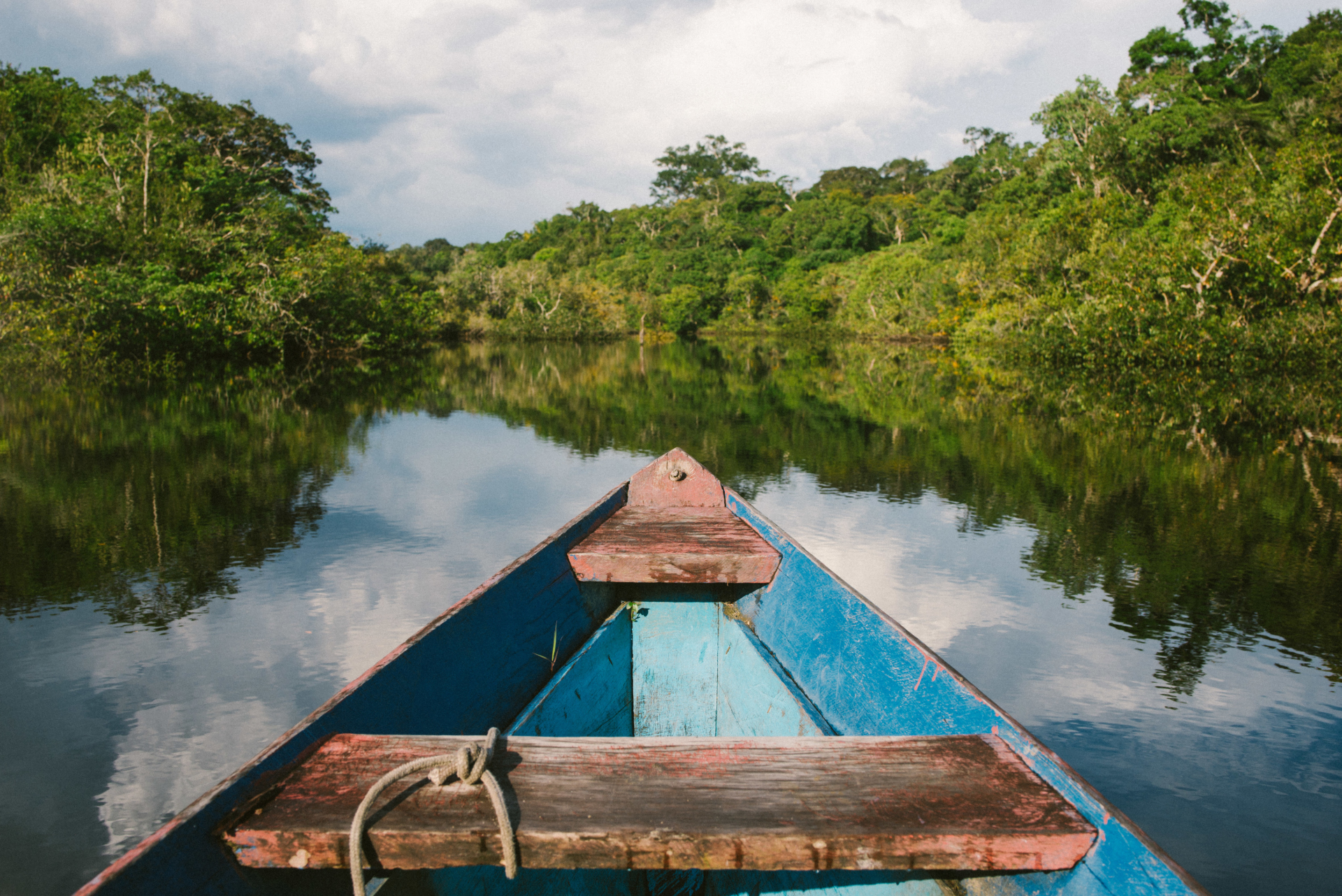 Voyage Amazonie Bresil