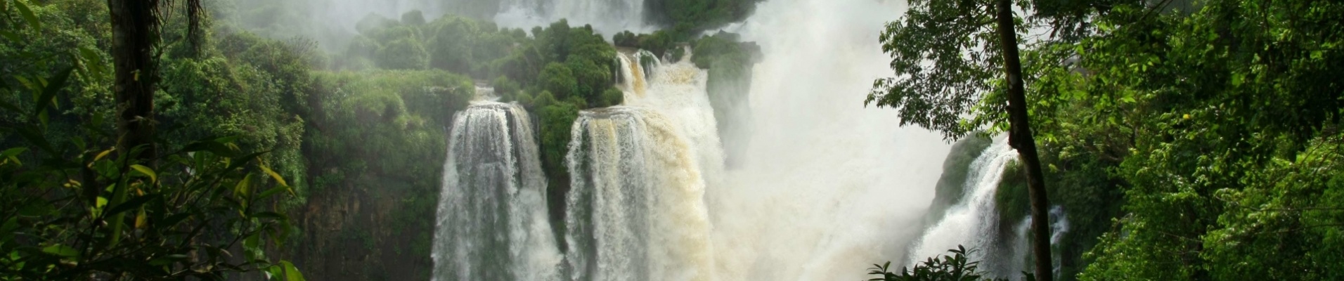 Chutes d'Iguaçu émergeant de la jungle brésilienne