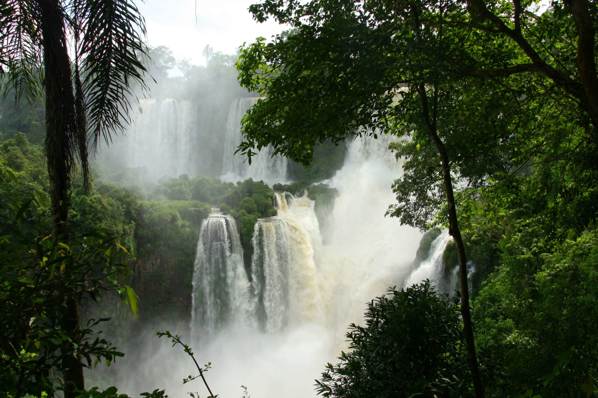 Chutes d'Iguaçu émergeant de la jungle brésilienne