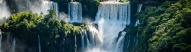 Chutes d'Iguaçu verdoyantes au Brésil