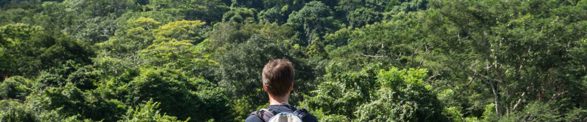 Trekking en Amazonie au Brésil