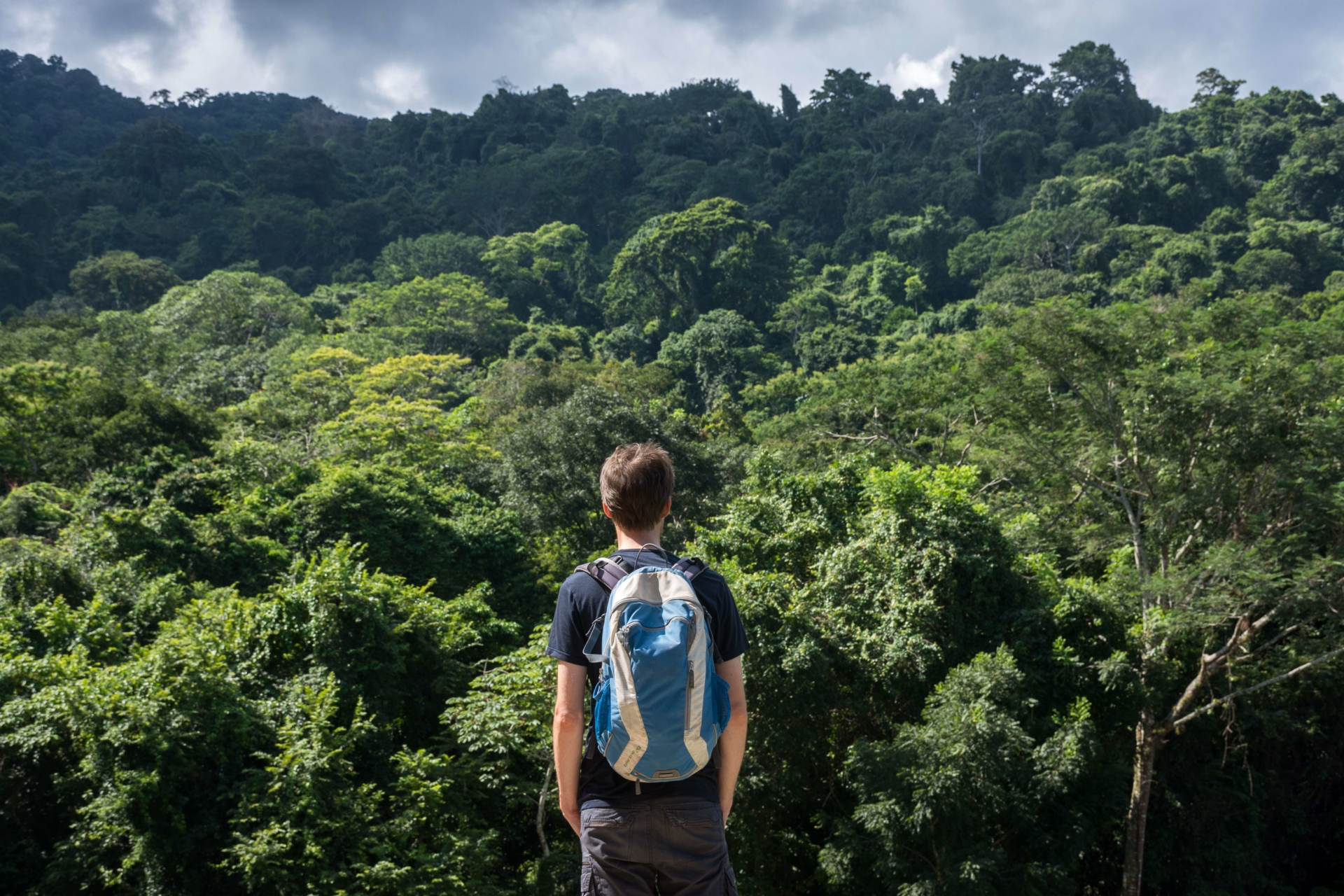 Trekking en Amazonie au Brésil