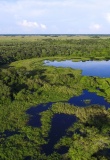 Vue aérienne des marécages du Pantanal