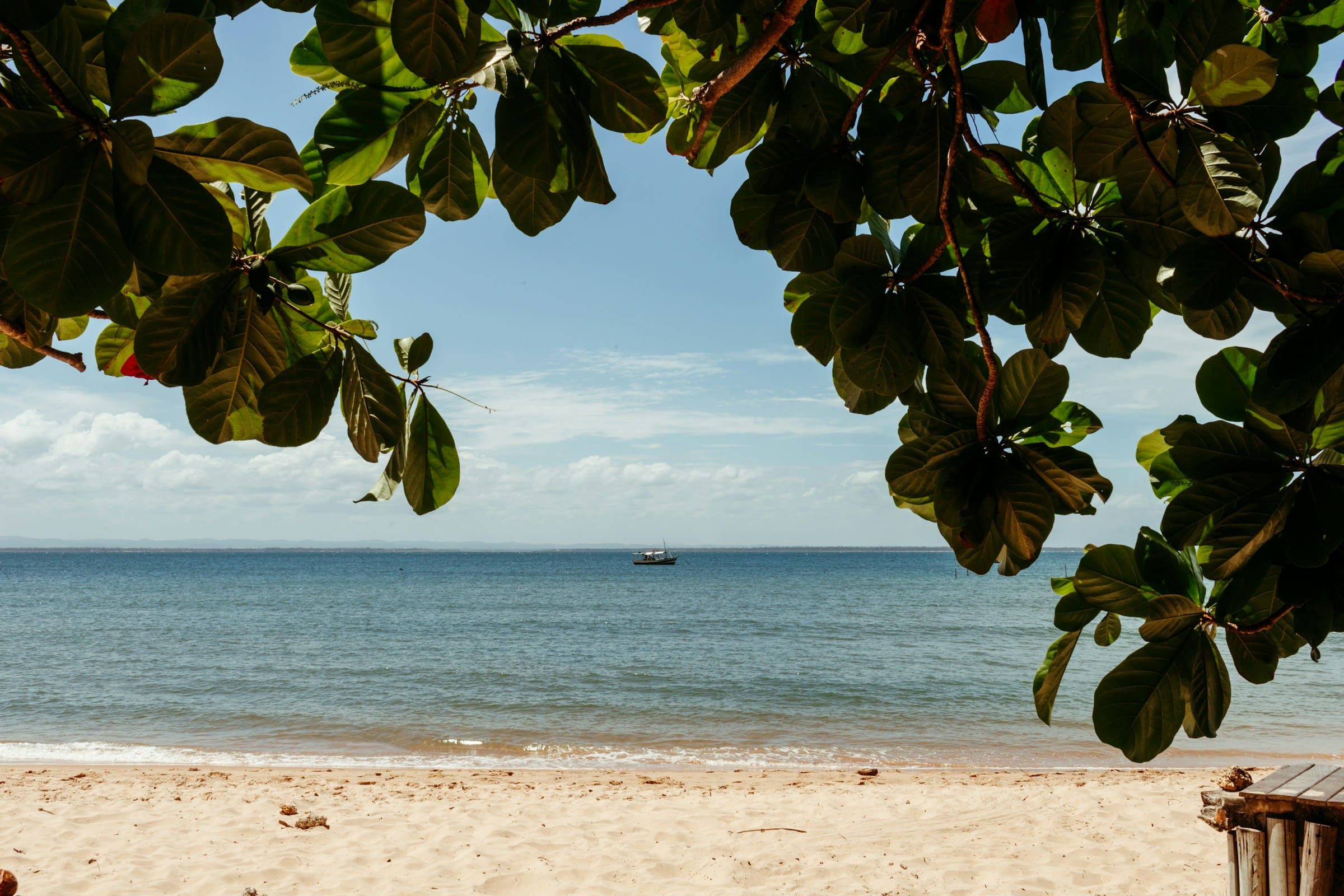 Plage brésil