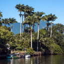 paraty-bresil