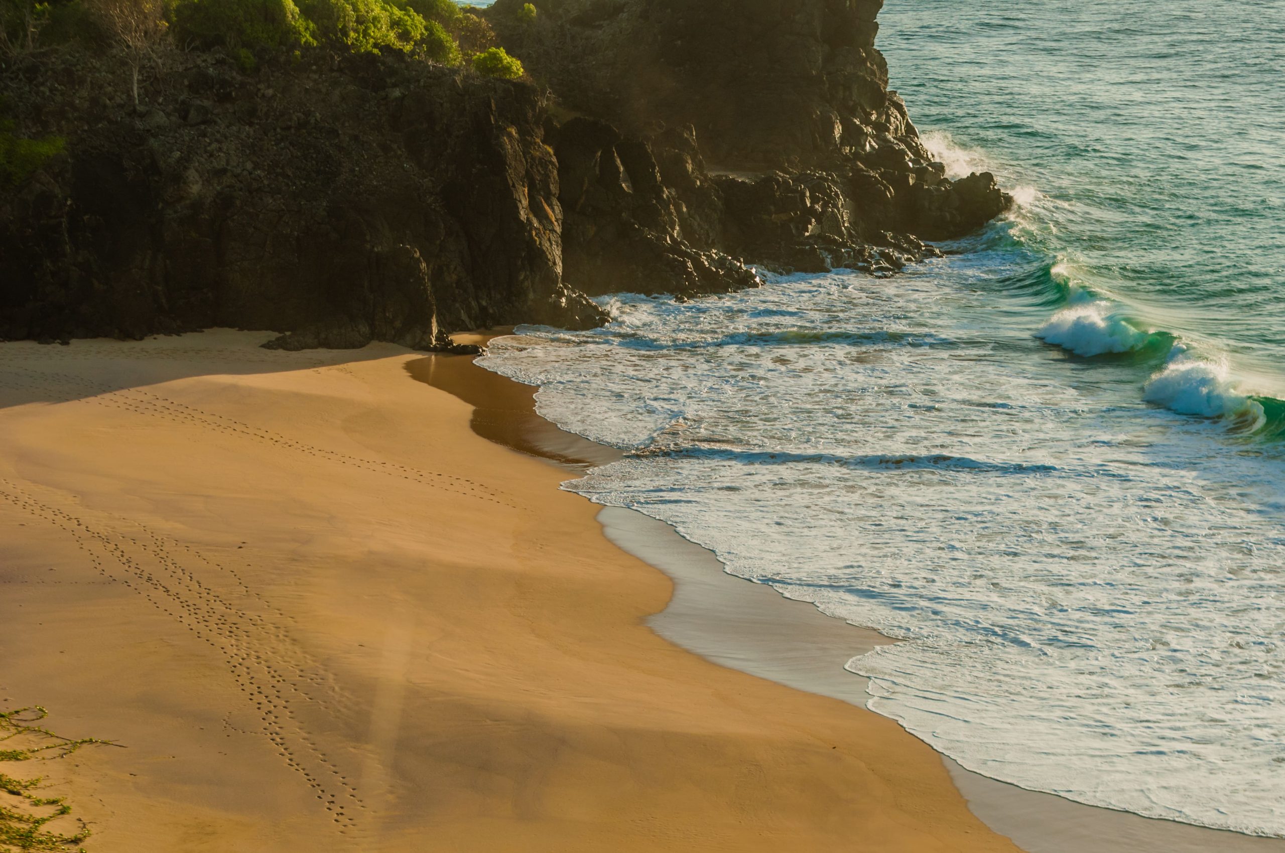 Plage à Fernando de Noronha